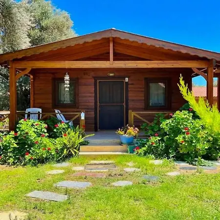 Ovabuekue Ahsap Evler Holiday home
